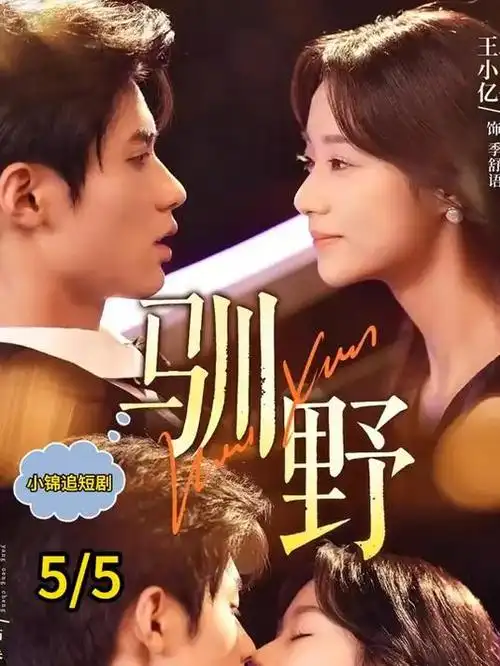 山海关的风 剧集海报